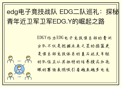 edg电子竞技战队 EDG二队巡礼：探秘青年近卫军卫军EDG.Y的崛起之路